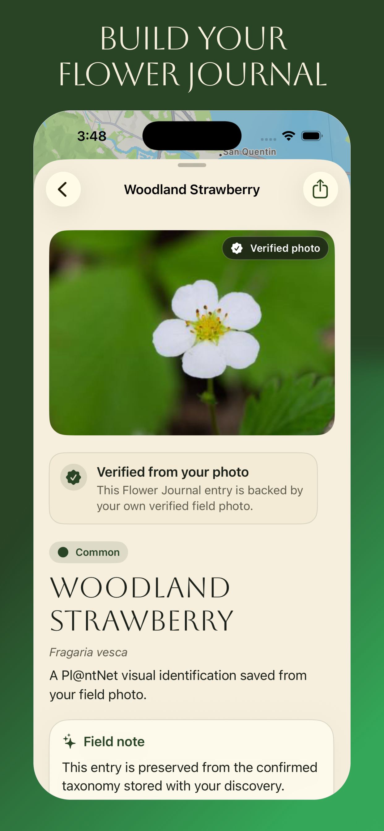 Woodland Strawberry journal entry verified from a user photo.