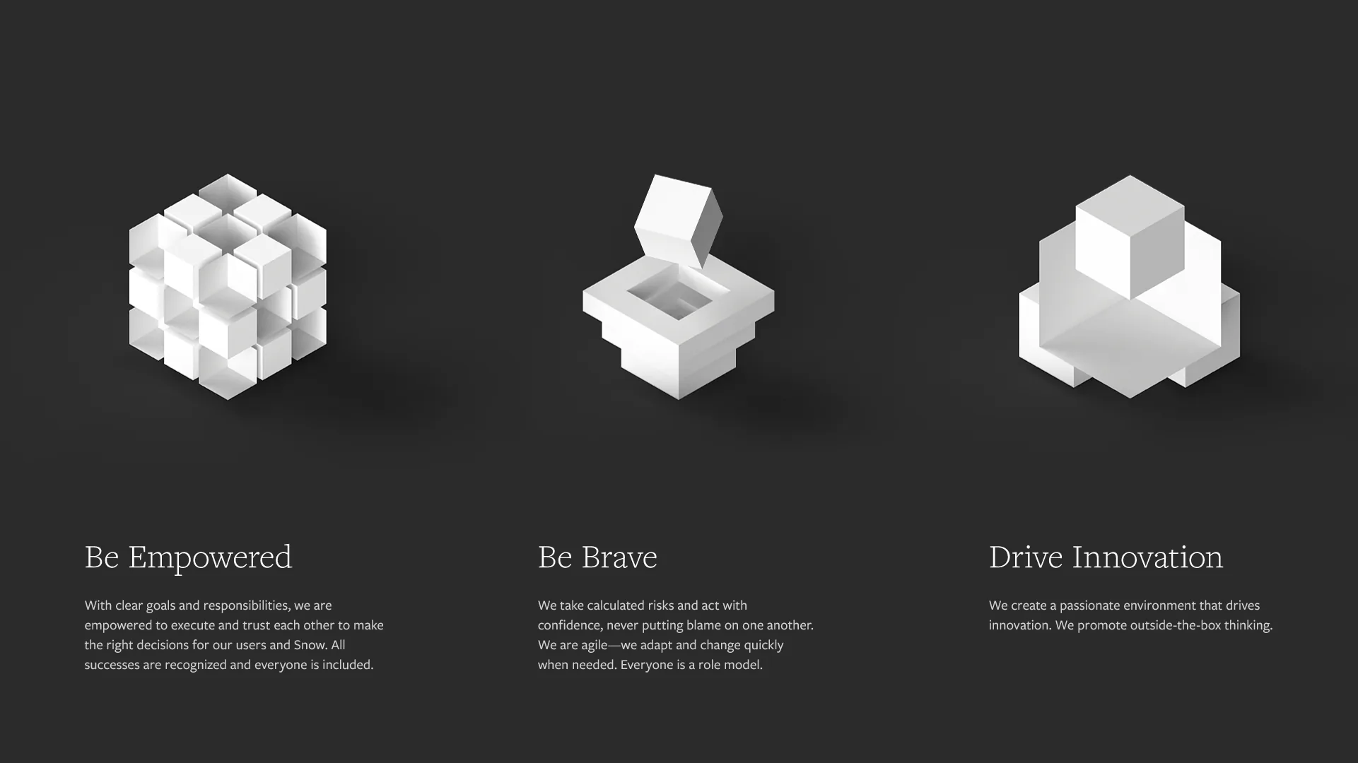 Snow case study visual 5