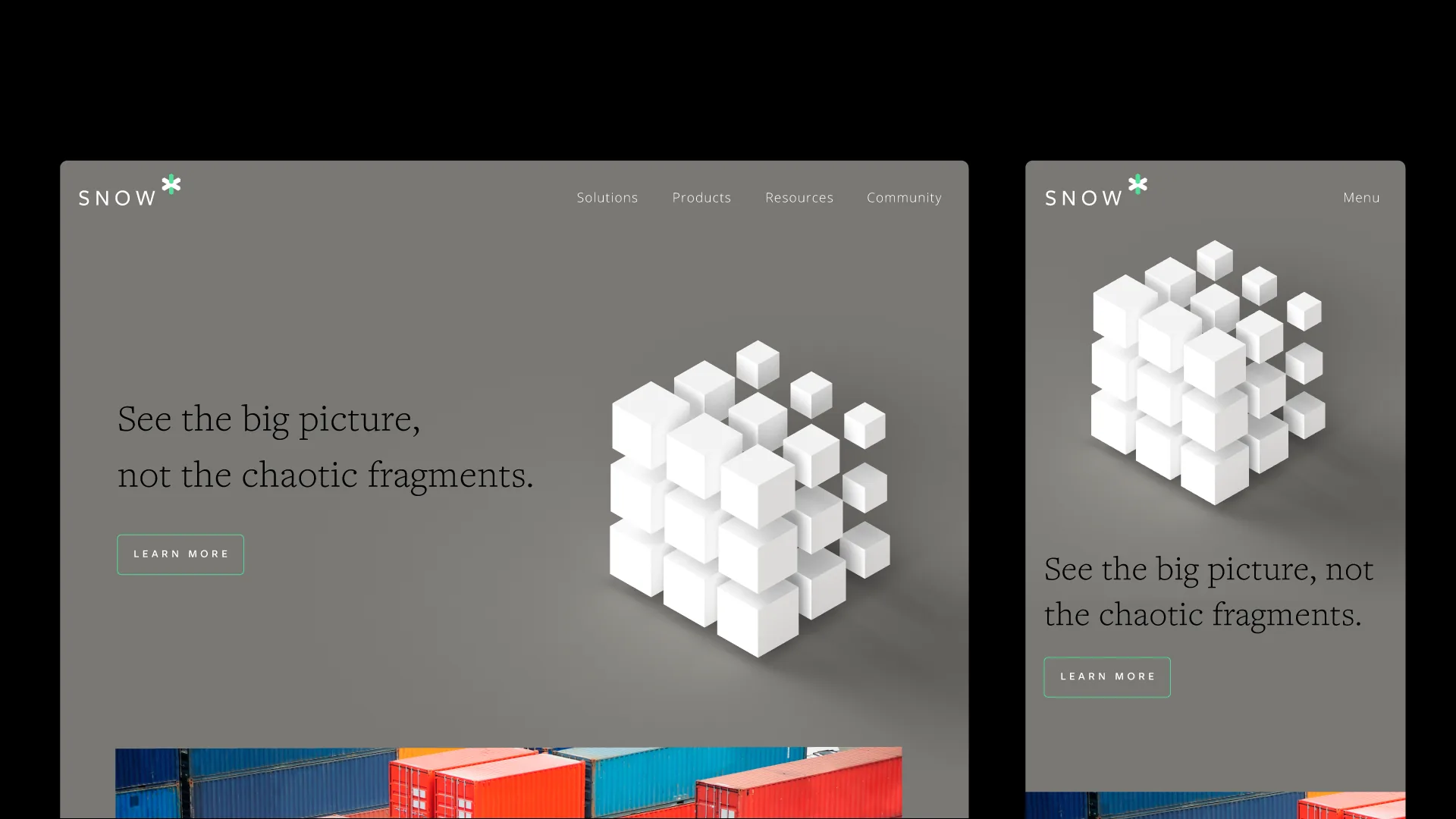 Snow case study visual 4